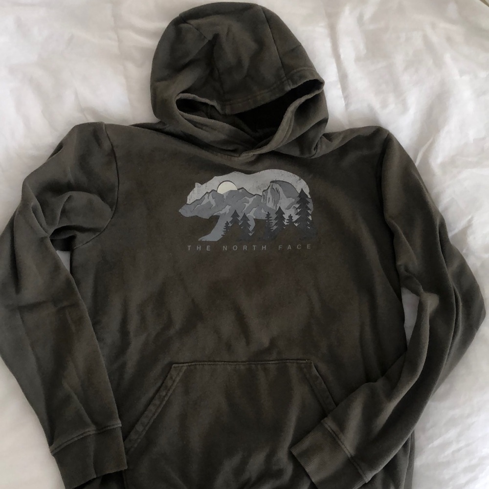 the North face bear camp long sleeve pull over hoodie